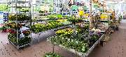 OBI Markt Gummersbach - OBI Gartencenter Gummersbach