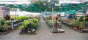 OBI Markt Hagenow - OBI Gartencenter Hagenow