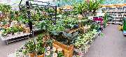 OBI Markt Haiger - GALLERY