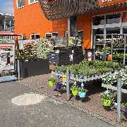 OBI Markt Haiger - OBI Farbmisch-Service Haiger