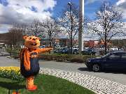 OBI Markt Haiger - OBI Parkplatz Haiger