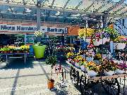 OBI Markt Hamburg-Harburg - Bequeme Sitzmöglichkeiten für Balkon und Terrasse finden Sie in unserem Gartencenter