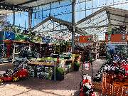 OBI Markt Hamburg-Harburg - Der Frühling ist da! Pflanzen für Garten, Beet & Balkon finden Sie in unserem Gartencenter.