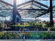 OBI Markt Hamburg-Harburg - Moin und herzlich Willkommen im OBI-Markt Hamburg-Harburg!