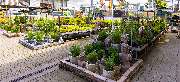 OBI Markt Hamm - OBI Gartencenter Hamm