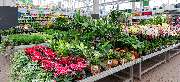 OBI Markt Hattingen - OBI Gartencenter Hattingen