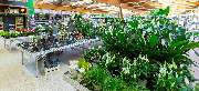 OBI Markt Helmstedt - OBI Gartencenter Helmstedt