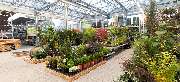 OBI Markt Herford - OBI Gartencenter Herford