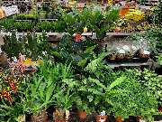 OBI Markt Hildesheim - OBI Gartencenter Hildesheim