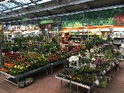 OBI Markt Hockenheim - Garten Warmhalle