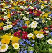 OBI Markt Höchstadt a.d.Aisch - Der Frühling hält Einzug