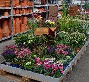 OBI Markt Höchstadt a.d.Aisch - OBI Gartencenter Höchstadt an der Aisch