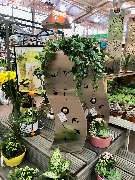 OBI Markt Höxter - OBI Markt-Eingang Höxter