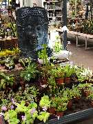 OBI Markt Höxter - OBI Markt Höxter