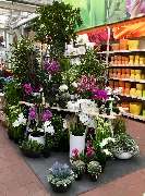 OBI Markt Höxter - Seidenblumen Aufbau