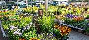 OBI Markt Hof - GALLERY