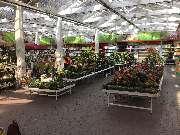 OBI Markt Hof - OBI Gartencenter Hof