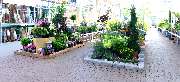 OBI Markt Idstein - OBI Gartencenter Idstein