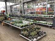 OBI Markt Jena-Löbstedt - Garten