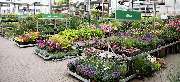 OBI Markt Jena-Löbstedt - OBI Gartencenter Jena-Löbstedt