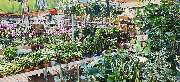 OBI Markt Jettingen-Scheppach - OBI Gartencenter Jettingen-Scheppach