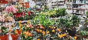 OBI Markt Jettingen-Scheppach - OBI Gartencenter Jettingen-Scheppach