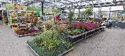 OBI Markt Jever - GALLERY