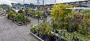 OBI Markt Jever - GALLERY