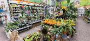 OBI Markt Kaiserslautern - OBI Gartencenter Kaiserslautern