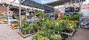 OBI Markt Kaiserslautern - OBI Gartencenter Kaiserslautern