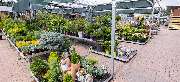 OBI Markt Kaiserslautern - OBI Gartencenter Kaiserslautern