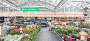 OBI Markt Kall - OBI Gartencenter Kall