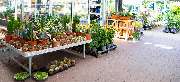 OBI Markt Kamenz - OBI Gartencenter Kamenz