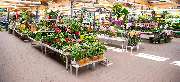 OBI Markt Kamenz - OBI Gartencenter Kamenz
