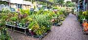 OBI Markt Kamenz - OBI Gartencenter Kamenz