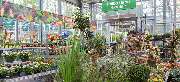 OBI Markt Kassel - OBI Gartencenter Kassel