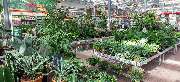 OBI Markt Kerpen - OBI Gartencenter Kerpen