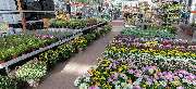OBI Markt Kerpen - OBI Gartencenter Kerpen
