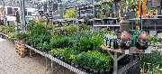 OBI Markt Kerpen - OBI Gartencenter Kerpen