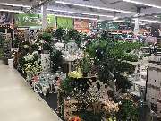 OBI Markt Köln-Dellbrück - Boutique