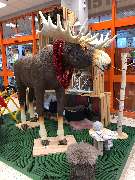 OBI Markt Köln-Godorf - Eingangsbereich