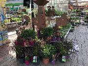 OBI Markt Köln-Godorf - Gartencenter