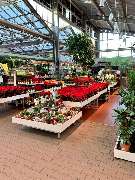 OBI Markt Köln-Marsdorf - GALLERY