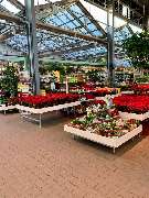 OBI Markt Köln-Marsdorf - GALLERY