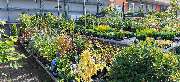 OBI Markt Königswinter - OBI Gartencenter Königswinter