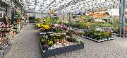 OBI Markt Lahr - GALLERY