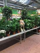 OBI Markt Lahr - OBI Gartenplaner Lahr