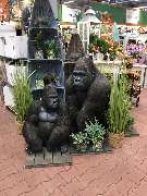 OBI Markt Lahr - OBI Markt-Eingang Lahr