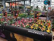 OBI Markt Landsberg - OBI Gartenplaner Landsberg am Lech