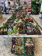 OBI Markt Lauf - Dekoration